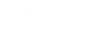 Logo of Borg Panel