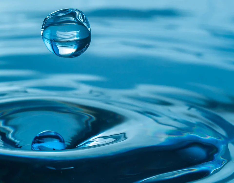 Close-up of a water droplet