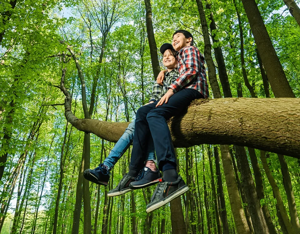 Two people sitting on a tree branch in a forest
