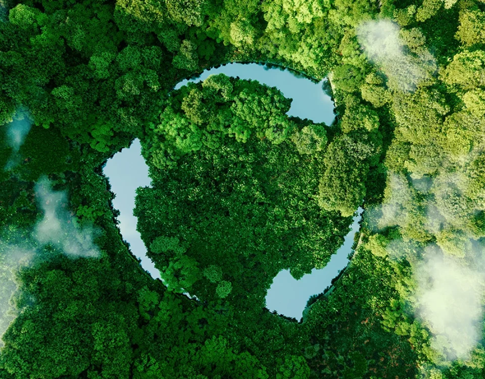 Aerial view of a forest forming a recycling symbol
