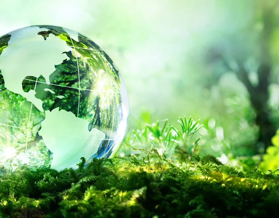 Glass globe covered with green foliage