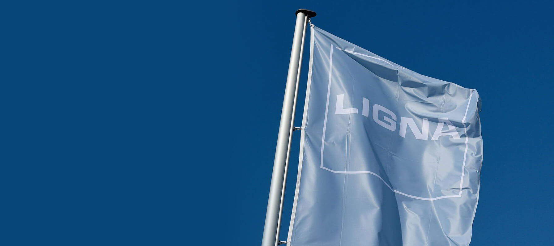 Flags at a wood-based panel industry trade fair